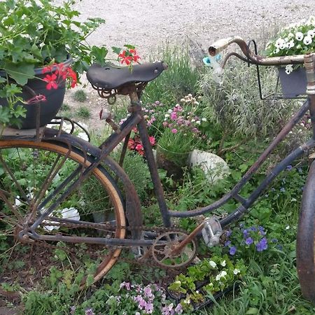Morestel Basse-Cour De Montin Au 256 Chemin De La Rocaille A 38510 Vezeronce Curtin Bed & Breakfast エクステリア 写真