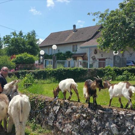 Morestel Basse-Cour De Montin Au 256 Chemin De La Rocaille A 38510 Vezeronce Curtin Bed & Breakfast エクステリア 写真
